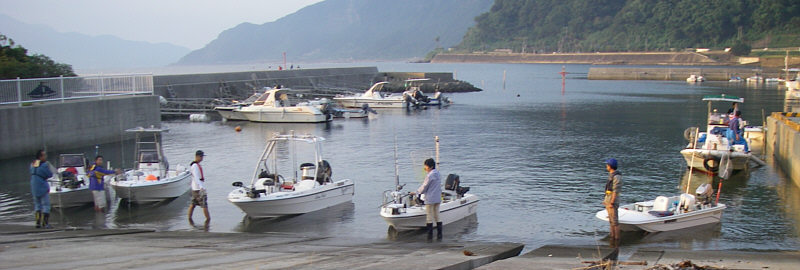 t01.jpg