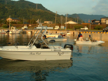 t03.jpg
