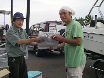 t31.jpg